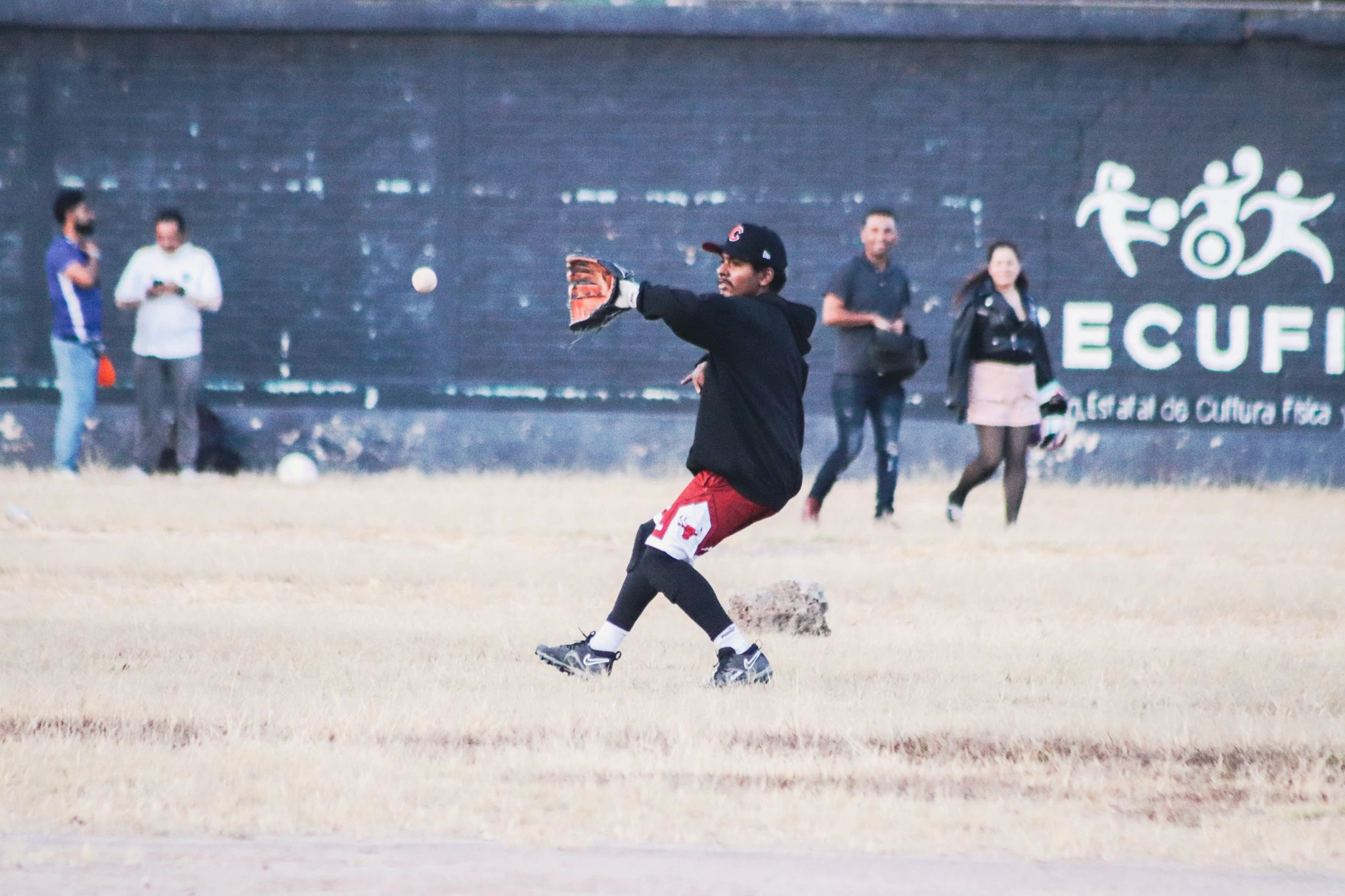 72d95509d25faa91db4915463b125223